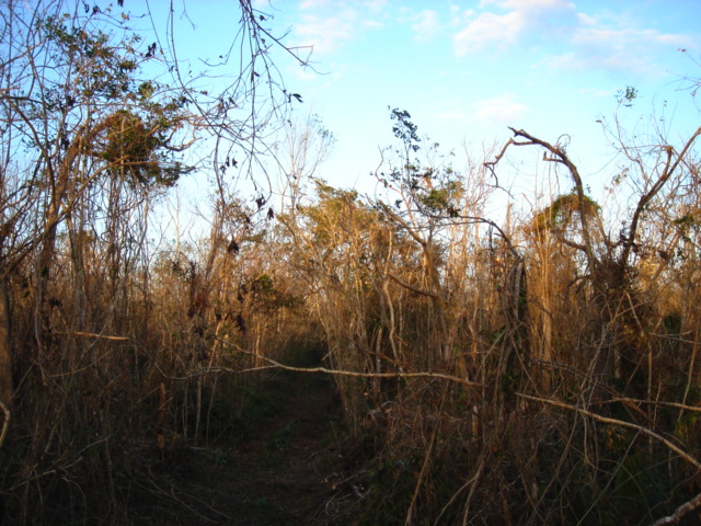 dsc00475.jpg